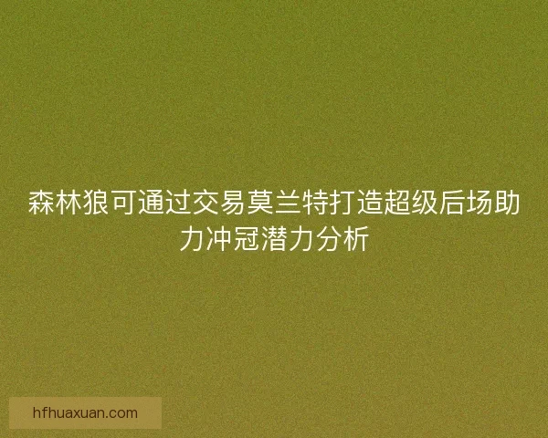 森林狼可通过交易莫兰特打造超级后场助力冲冠潜力分析 森林狼可通过交易莫兰特打造超级后场助力冲冠潜力分析